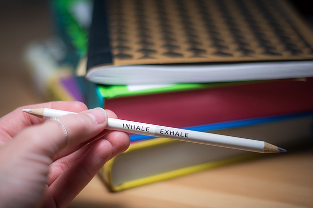 Sınav Kaygısı Eğitimi Sertifikası